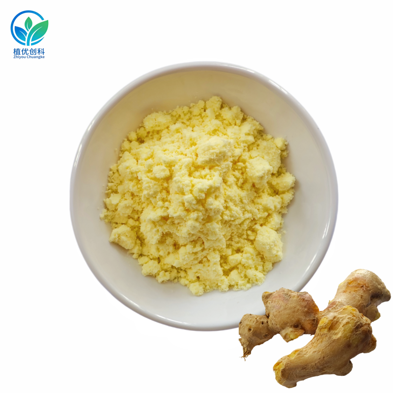 生姜提取物 1%水溶姜辣素