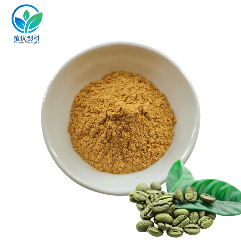 绿咖啡豆提取物 50%绿原酸